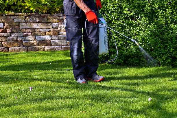 Best Pest Control for Multi-Family Homes  in Flatonia, TX